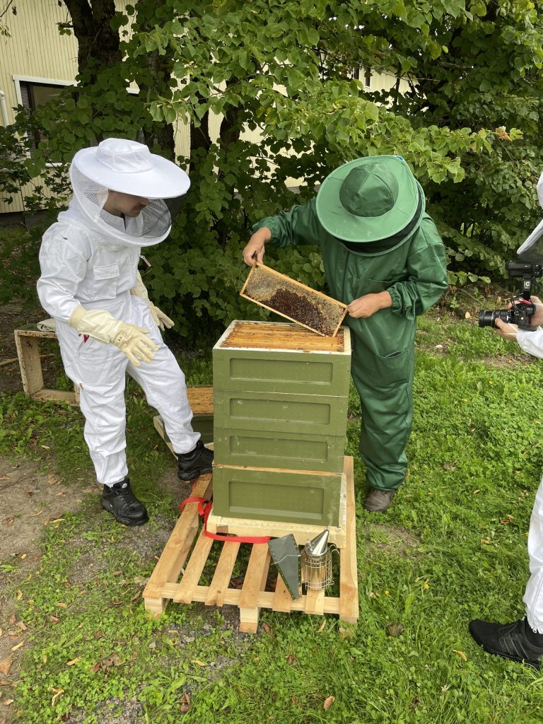 Where does honey come from?